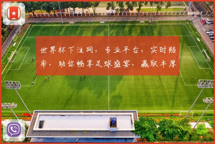 世界杯下注网，专业平台，实时赔率，助你畅享足球盛宴，赢取丰厚回报，不容错过