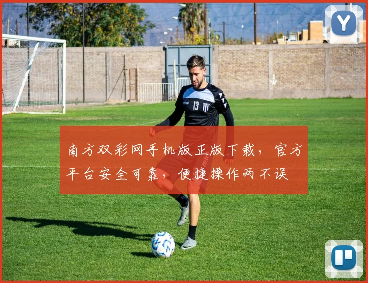 南方双彩网手机版正版下载，官方平台安全可靠，便捷操作两不误