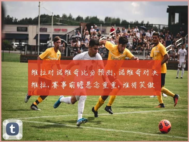 维拉对诺维奇比分预测,诺维奇对决维拉,赛事前瞻悬念重重,谁将笑傲绿茵场
