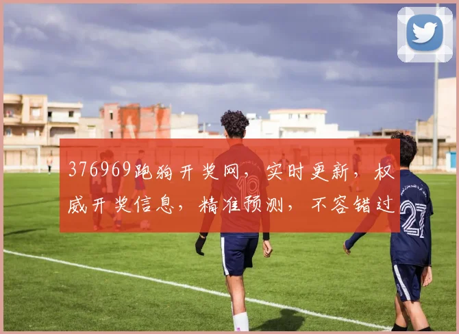 376969跑狗开奖网，实时更新，权威开奖信息，精准预测，不容错过